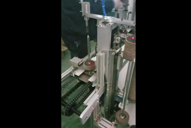 百葉輪全自動(dòng)包裝機(jī)工作視頻（二）